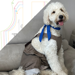 강아지 옷 끈 올인원 DIY 종이 패턴